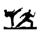 Kyokushin Karate - MMA Fighting Style