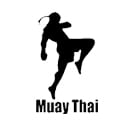 Muay Thai - MMA Fighting Style
