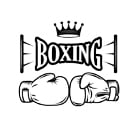 Boxing - MMA Fighting Style